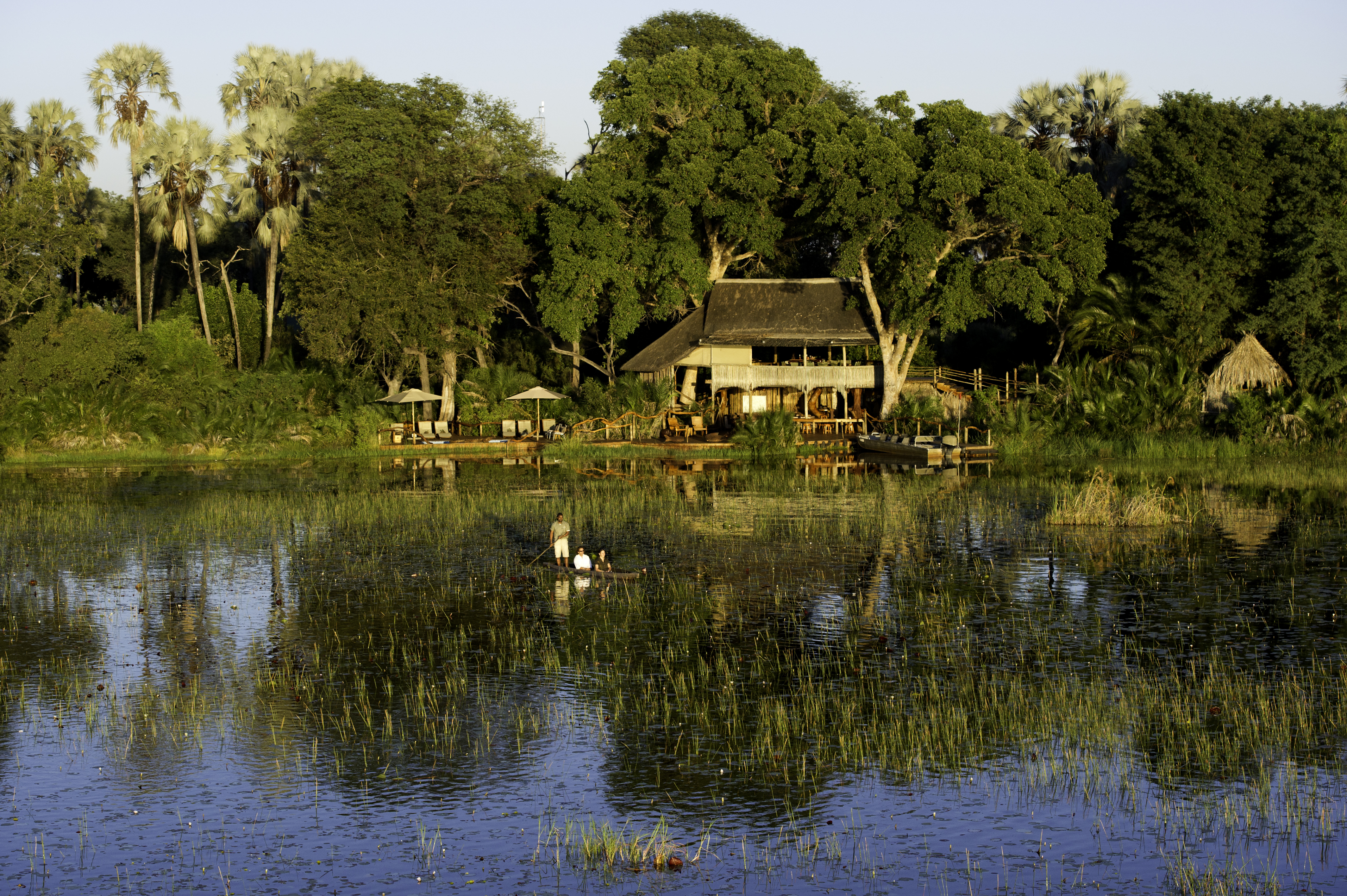 Jacana Camp Jacana Camp
