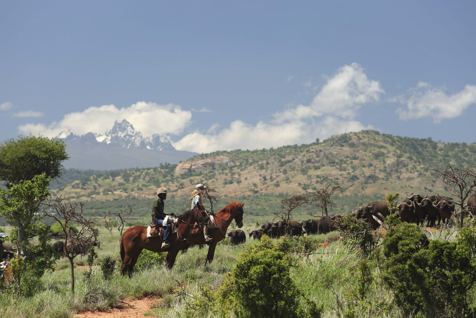 Borana Lodge Borana Lodge: Reiterin mit Guide neben Büffelherde