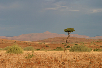 Etendeka Mountain Camp Etendeka Mountain Camp: Weite Landschaft