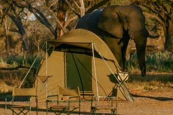 Hwange Bush Camp: Fly Camp