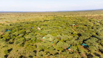 Ikoma Tented Camp: Gesamtansicht des Camps von oben