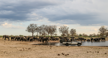 Imvelo Safaris Imvelo Safaris: Safari Auto vor Elefantenherde