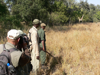 Kafunta River Lodge: Walking Safari