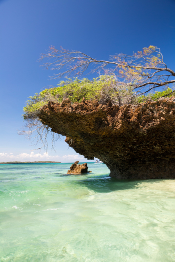 Kinondo Kwetu Kinondo Kwetu: Korallenüberhang