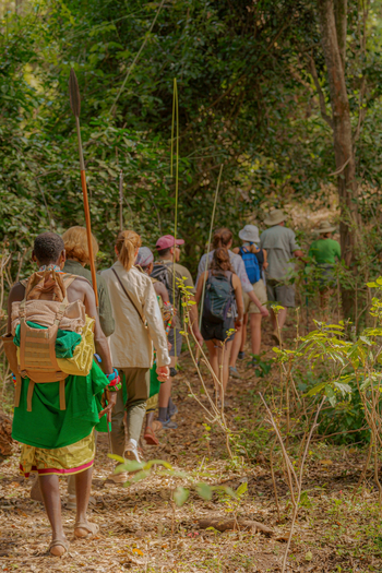 Kitich Forest Camp: Buschwanderung