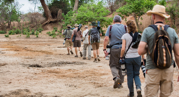 Little Vundu Camp Little Vundu Camp: Walking Safari