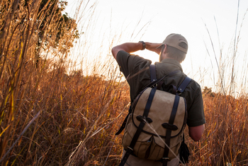 Mwaleshi Camp Mwaleshi Camp: Walking Safari