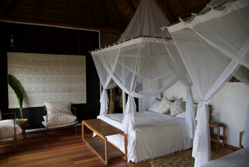 Papaya Lake Lodge: Betten mit Moskitonetzen