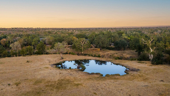 Sabi Sabi Bush Lodge: Wasserloch in afrikanischer Savanne bei Sonnenuntergang