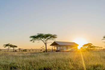 Serengeti Sametu Camp: Camp am Morgen