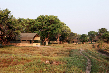 Shoebill Island Camp Shoebill Island Camp: Zelte in flachem Gelände