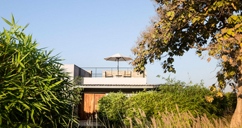 Woods at Sasan: Studioterrasse