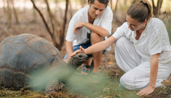 Xanadu Villas: Schildkröten