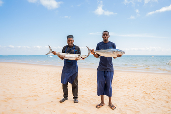Azura Benguerra Island: Fischer