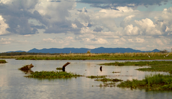 Classic Zambia Safaris Classic Zambia Safaris: Landschaft