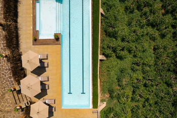 Gibb's Farm: Pool von oben