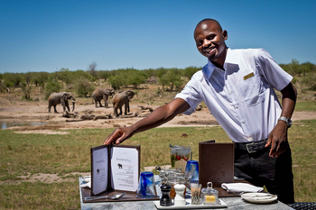 Jamala Madikwe: Elegantes Outdoor-Dining neben Elefanten