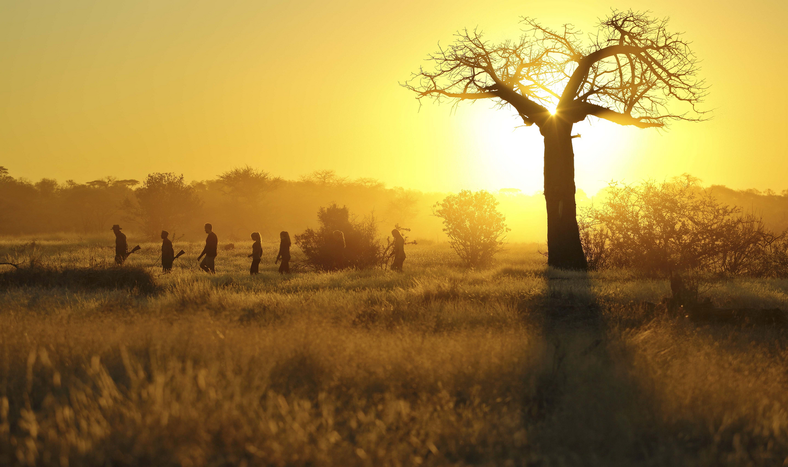Kichaka Zumbua Camp Kichaka Zumbua Camp: Gegenlicht