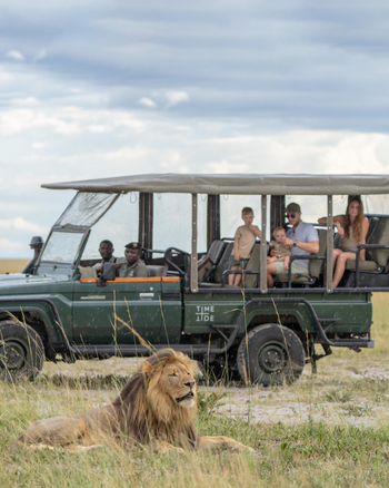 King Lewanika Lodge: Ein Löwe wird beobachtet