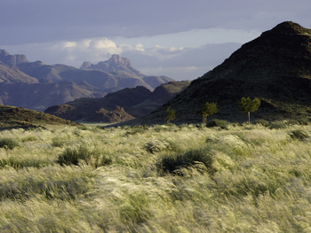 Little Kulala: Landschaft