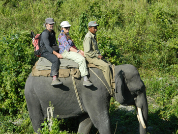 Musa Jungle Retreat Musa Jungle Retreat: Elefantensafari
