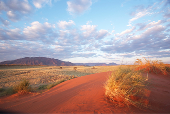 Namib Rand Nature Reserve: Kleine Düne