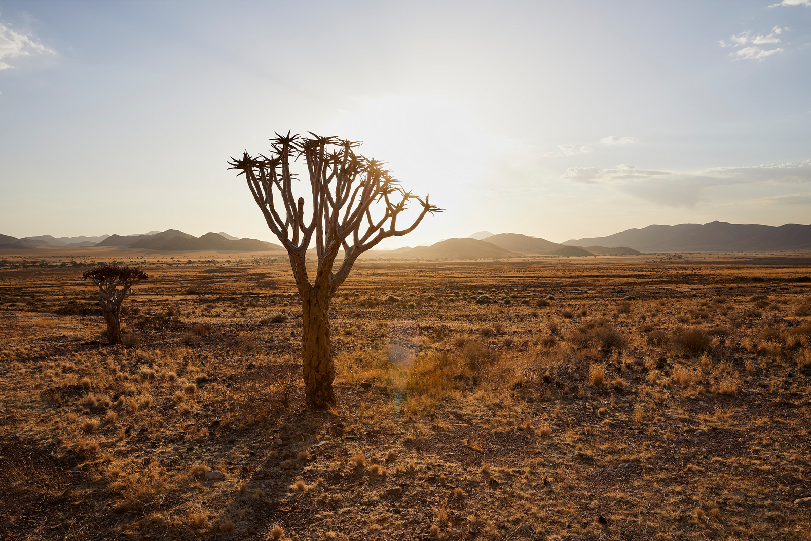 Nooishof Nooishof: Landschaft