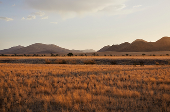 Nooishof: Landschaft