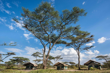 Olaado Camp: Lage unter Bäumen