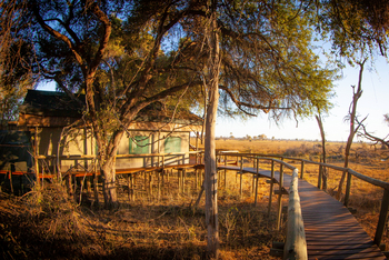 Rra Dinare Camp: Steg zum Zelt