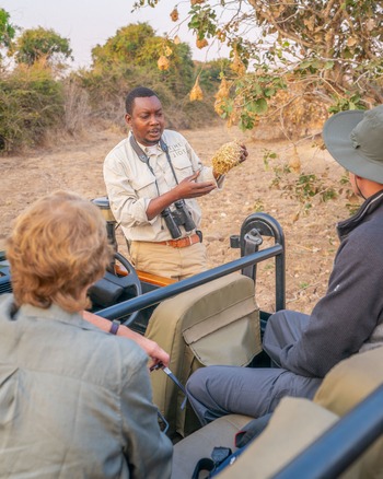 Time + Tide South Luangwa Time + Tide South Luangwa: Game Drives