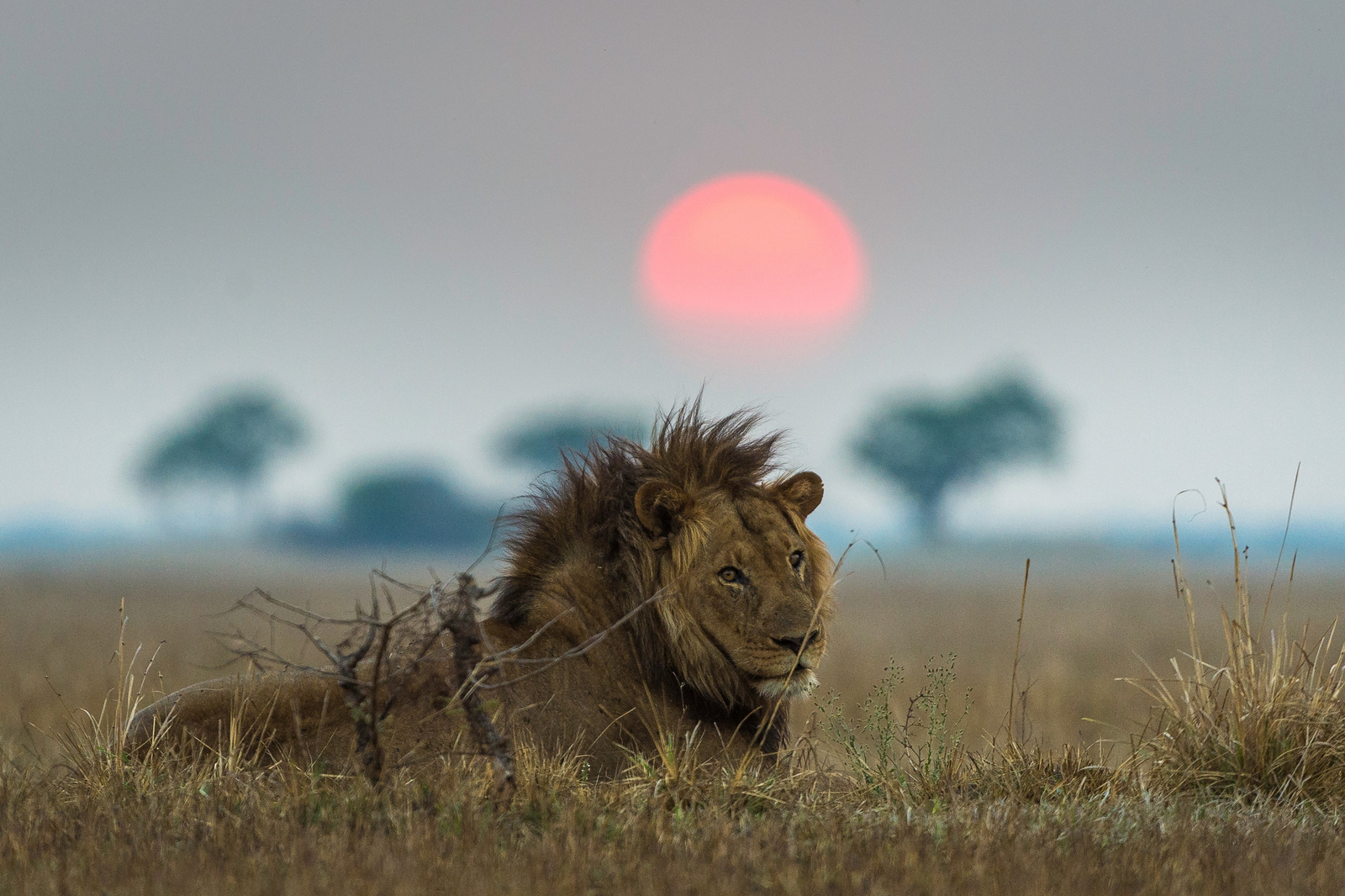 Shumba Camp Shumba Camp