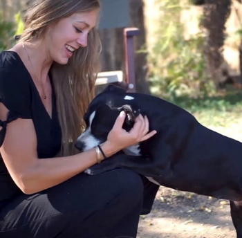 Chundukwa River Lodge: Gast und Hund