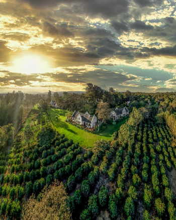 Elewana The Manor at Ngorongoro: Sonnenuntergang