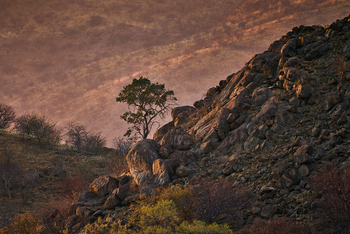 Huab Lodge: Landschaft