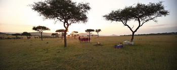 Klein's Camp: Massai-Tanz