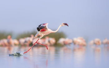 Loldia House: Lake Elementeita