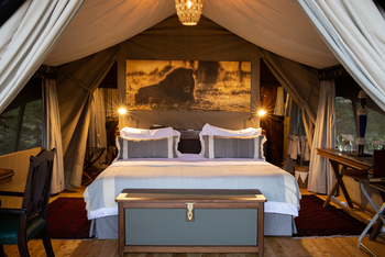 Mara Expedition Camp: Doppelbett und Truhe