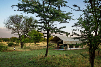 Mara Kati Kati Tented Camp: Gästezelt bei Sonnenaufgang