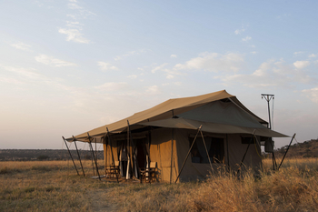 Mara Under Canvas: Gästezelt