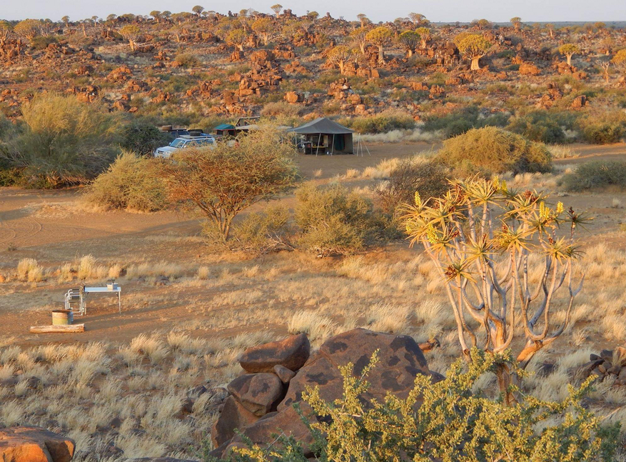 Mesosaurus Fossil Camp