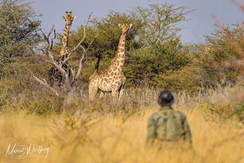 Onguma Reserve: Anti Poaching Unit
