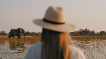 Sanctuary Chief's Camp Sanctuary Chief's Camp: Elefant in der Lagune