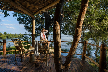 Sanctuary Sussi & Chuma: Sit-out