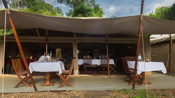 Sentinel Mara Camp: Esstische unter Zeltdach