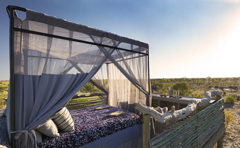 Skybeds: Moskitonetz