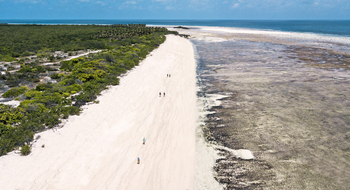Astove Coral House: Strandspaziergang