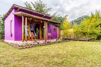 Chameleon Hill Forest Lodge: Gästeunterkunft lila