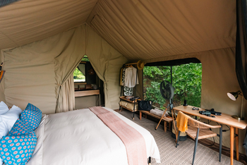 Chicari Camp: Schreibtisch und Regal