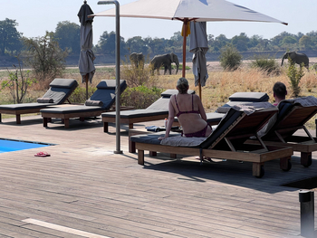 Chikunto Safari Lodge Chikunto Safari Lodge: Elefanten vor dem Camp